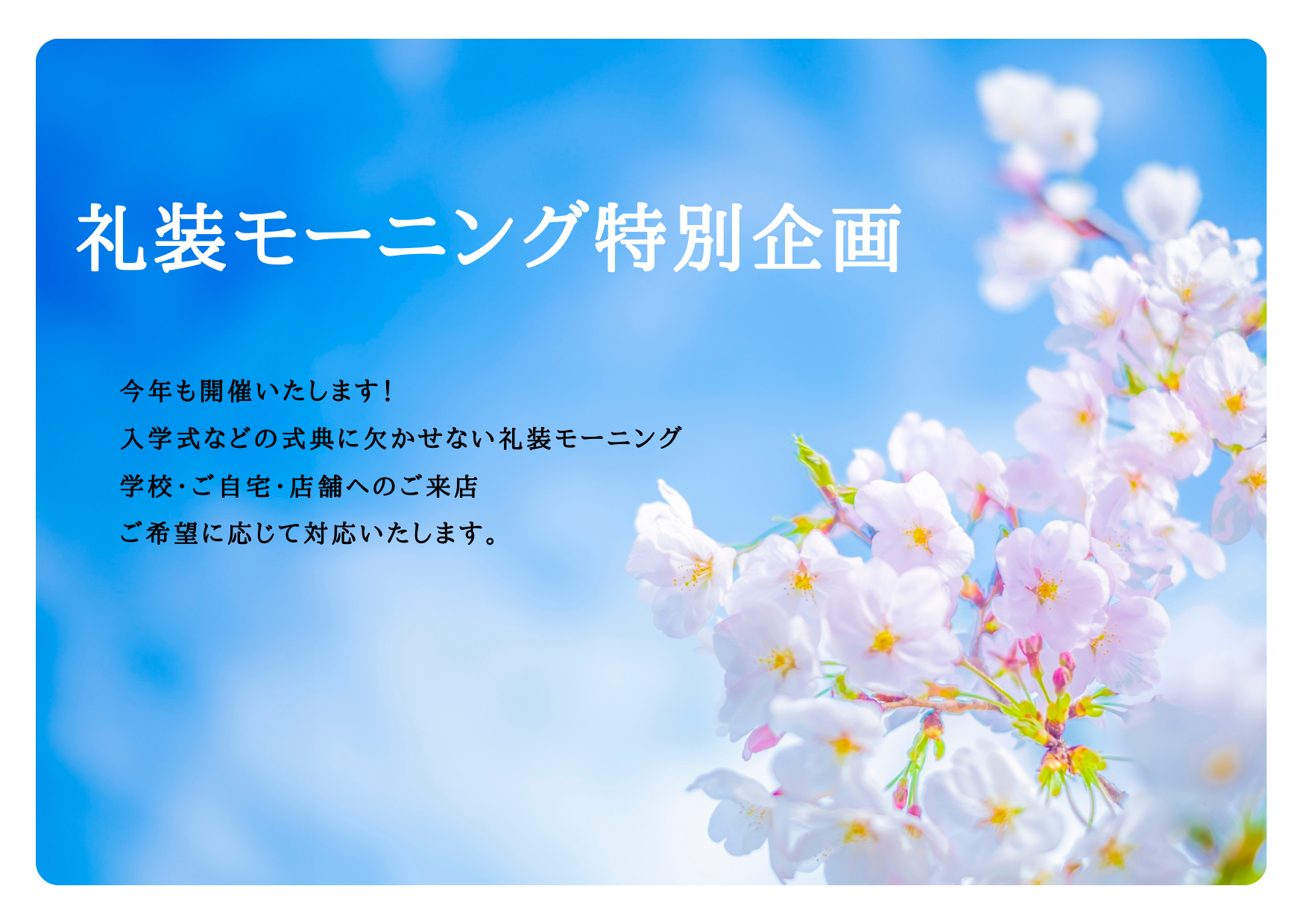 礼装モーニング特別企画